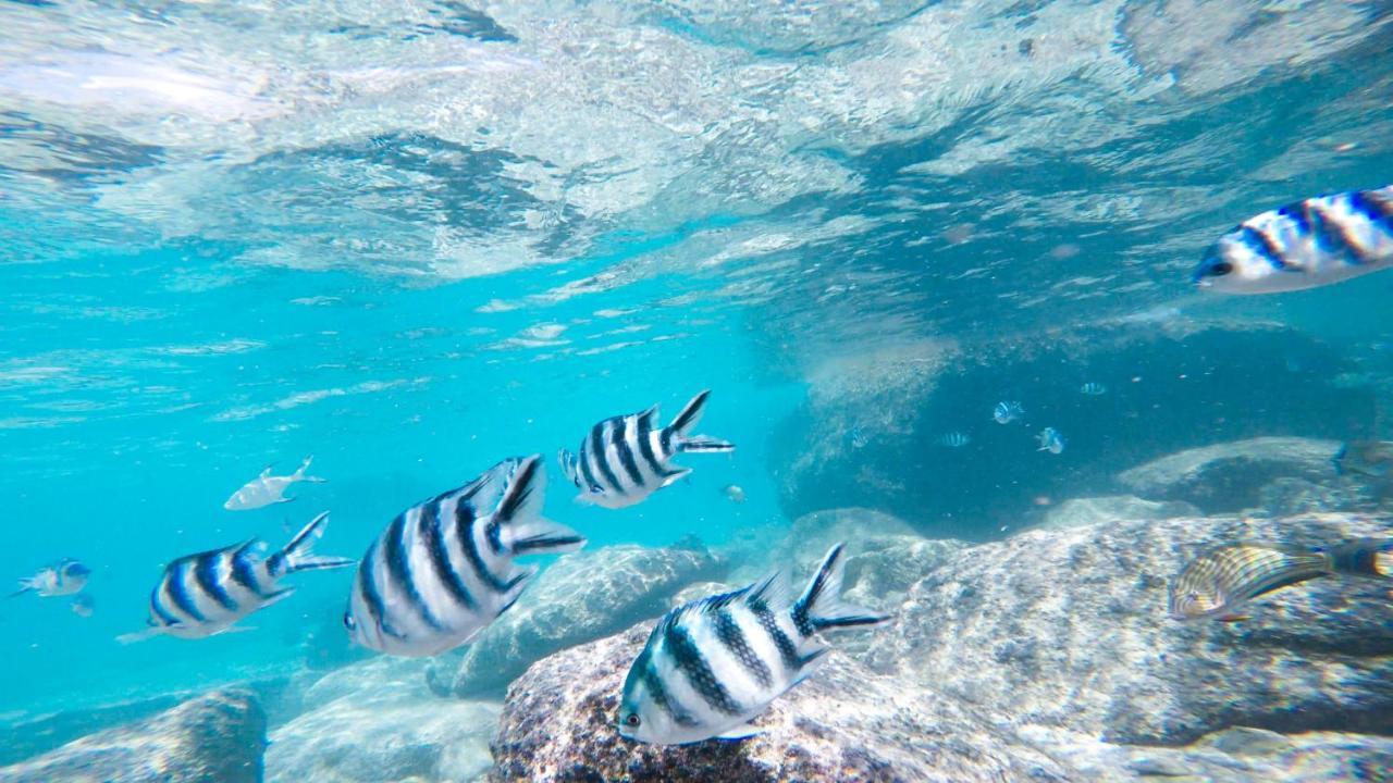 Cerf Island Resort Round Island Экстерьер фото